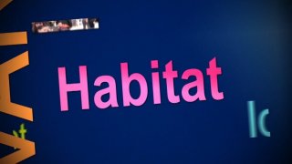 Habitat CG83 Politiques départementales